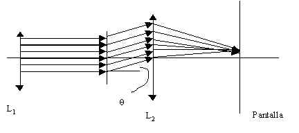 wpe1.jpg (8717 bytes)