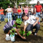 Siembra del árbol de graduados.