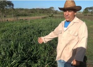 Raydel Sanz Otero, campesino.